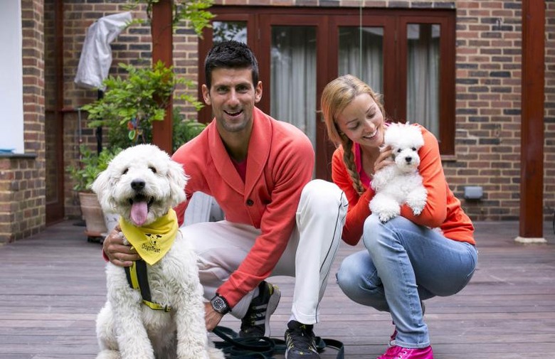 Novak Djokovic e seu poodle PIerre